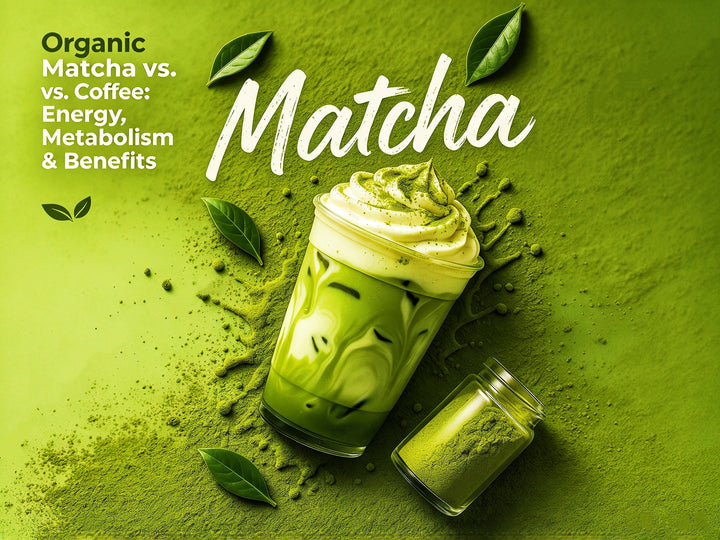Organic Matcha vs. Coffee: Energy, Metabolism & Benefits
