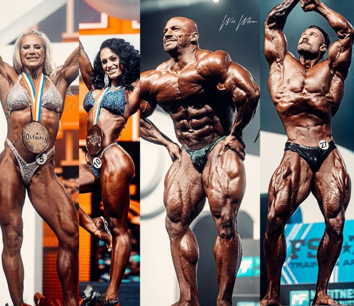 Best Supplements for Muscle Growth Besides Creatine