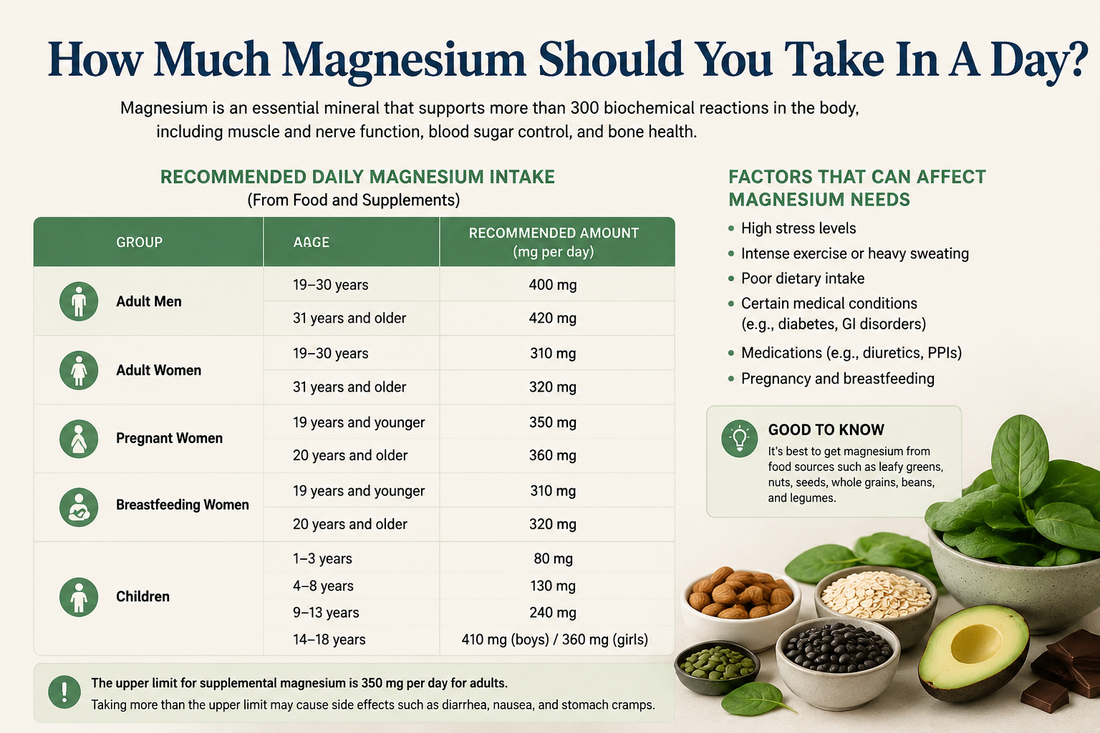 How Much Magnesium Should You Take In A Day