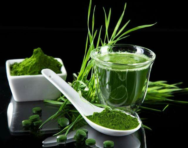 Organic Wheatgrass Powder–Chlorophyll-Rich Superfood for Clean Energy & Wellness