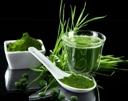 Organic Wheatgrass Powder–Chlorophyll-Rich Superfood for Clean Energy & Wellness