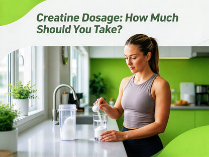 Creatine Monohydrate Powder | Pure Creatine Supplement