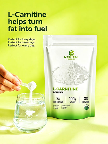 l-carnitine-Powder Supplements-Fat burner-Weight management-99% purity