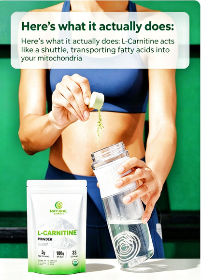 l-carnitine-Powder Supplements-Fat burner-Weight management-99% purity