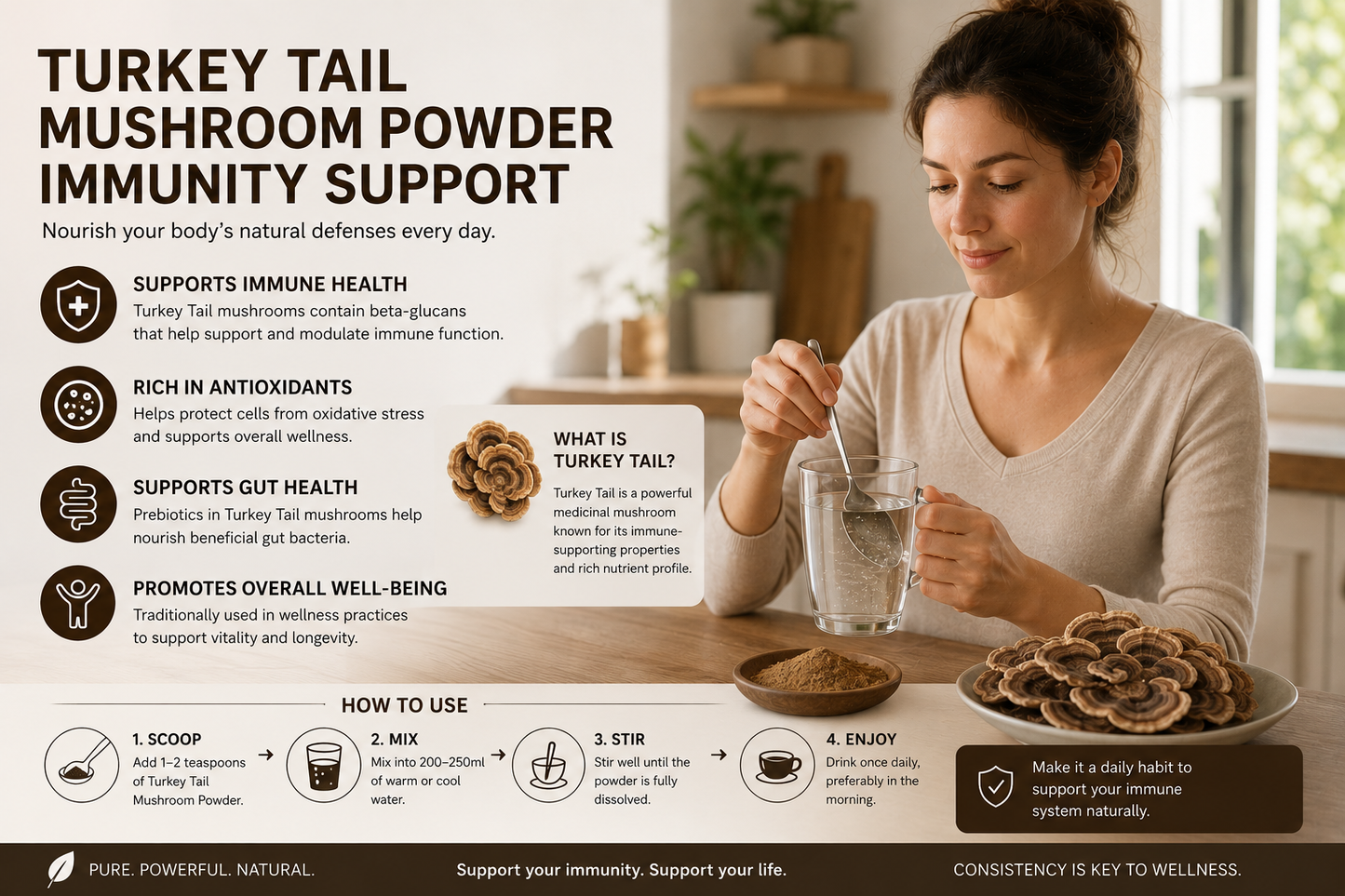 Organic Turkey Tail Mushroom Powder
